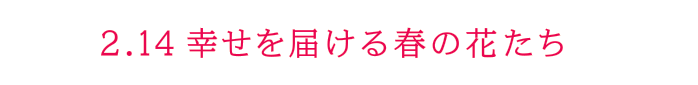 2.14 幸せを届ける春の花たち