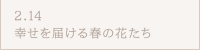 2.14幸せを届ける春の花たち
