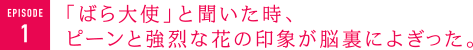 「ばら大使」と聞いた時、ピーンと強烈な花の印象が脳裏によぎった。