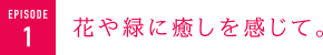 花や緑に癒しを感じて。