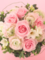 12本の花「ダズンフラワー」