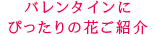 バレンタインにぴったりのお花ご紹介